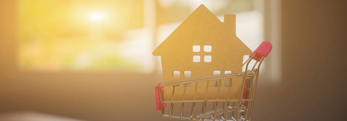 wooden house in shopping trolley