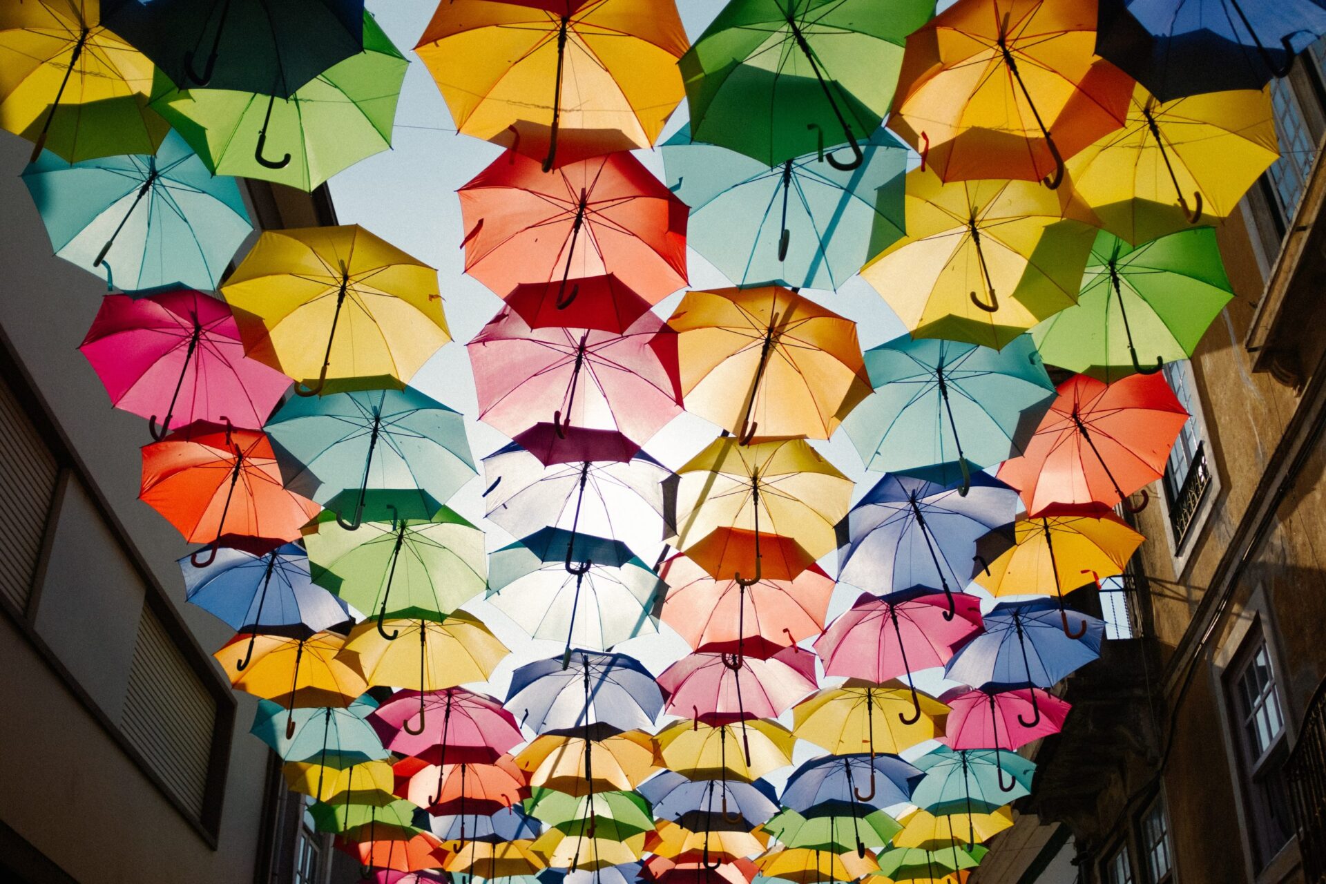 protection umbrellas