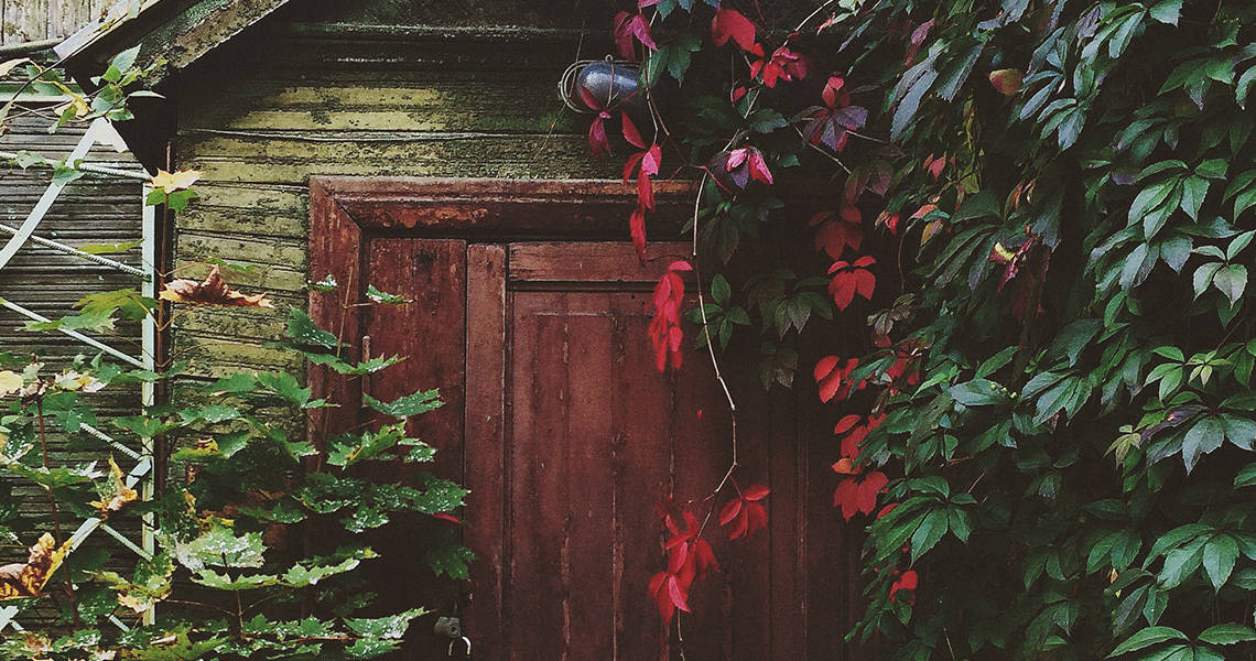 front of shed door and leaves