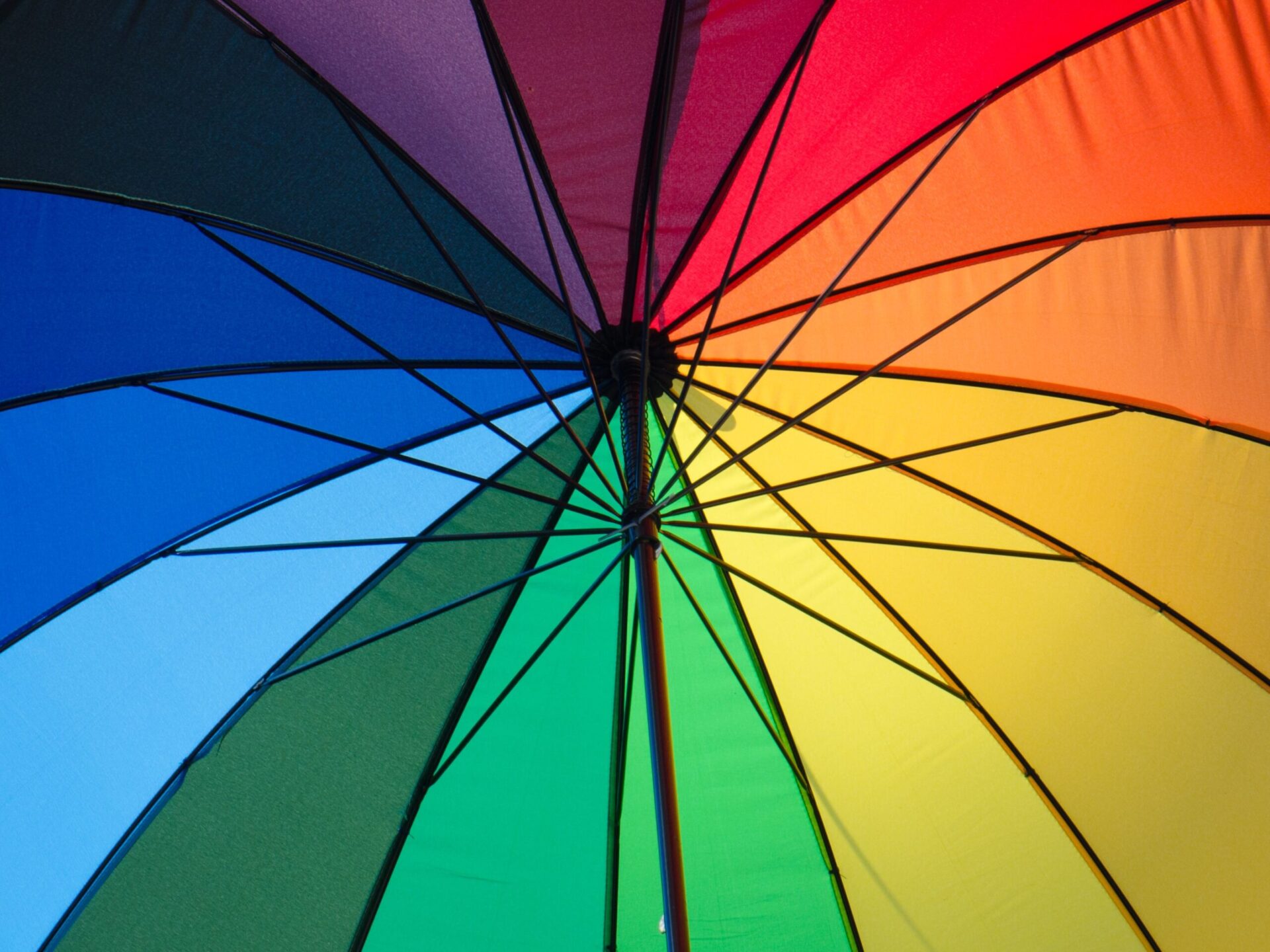 umbrella